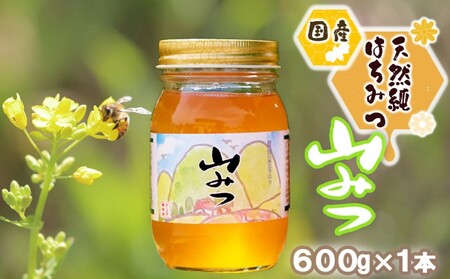国産純粋 山蜂蜜　600g ×6 国産純粋 山蜂蜜600g ×6本