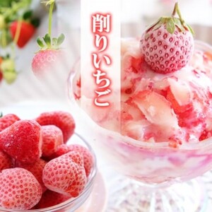 いちご ふわっと溶ける贅沢スイーツ 削りいちご 600g 練乳付き イチゴ 苺 果物 デザート ベリー畑 福田ファーム ※配送不可：沖縄、離島 