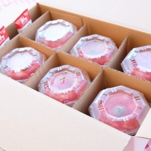 いちご ふわっと溶ける贅沢スイーツ 削りいちご 600g 練乳付き イチゴ 苺 果物 デザート ベリー畑 福田ファーム ※配送不可：沖縄、離島 