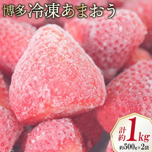 いちご 博多 冷凍あまおう 約500g×2袋 計約1kg [エイチアンドフューチャーズ 福岡県 筑紫野市 21760520]