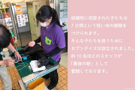 犬猫保護活動への支援 [NPO法人セブンデイズ 福岡県 筑紫野市 21760724] 保護 動物 犬 猫 犬猫 保護犬 支援 応援