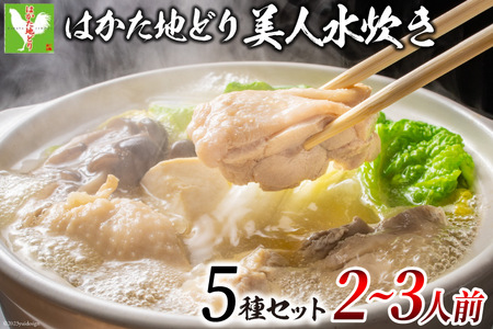 はかた地どり 美人水炊きセット 鶏肉2種 スープ 麺 コラーゲン 計5種 2～3人前 [MEAT PLUS 福岡県 筑紫野市 21760711]