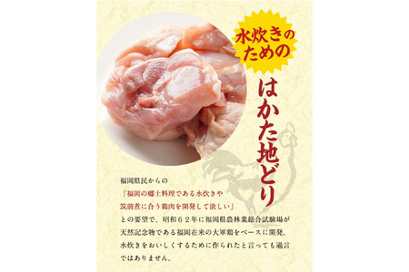 はかた地どり 美人水炊きセット 鶏肉2種 スープ 麺 コラーゲン 計5種 2～3人前 [MEAT PLUS 福岡県 筑紫野市 21760711]