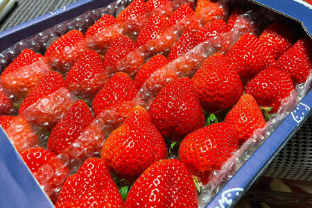 【期間限定発送】 いちご 津田くん農園のあまおう 約1kg [くしだ企画 福岡県 筑紫野市 21761180]