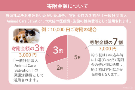 愛護支援、去勢・避妊治療支援 1万円 [Animal Care Salvation 福岡県 筑紫野市 21760769] 動物 ペット 愛護 TNR 保護 動物福祉 保護施設 里親 犬 猫 イヌ ネコ 動物愛護 