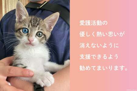 愛護支援、去勢・避妊治療支援 1万円 [Animal Care Salvation 福岡県 筑紫野市 21760769] 動物 ペット 愛護 TNR 保護 動物福祉 保護施設 里親 犬 猫 イヌ ネコ 動物愛護 