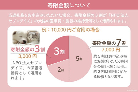 犬猫保護活動への支援 100万円分 [NPO法人セブンデイズ 福岡県 筑紫野市 21761403]