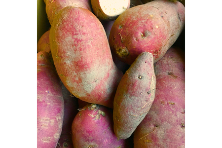 さつまいも 紅はるか 10kg [いしばし農園 福岡県 筑紫野市 21760965]