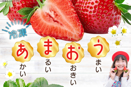 いちご 冷凍 あまおう 約2kg [mhshops 福岡県 筑紫野市 21761026]