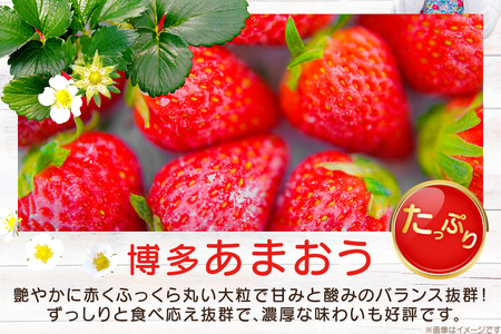 いちご 冷凍 あまおう 約2kg [mhshops 福岡県 筑紫野市 21761026]
