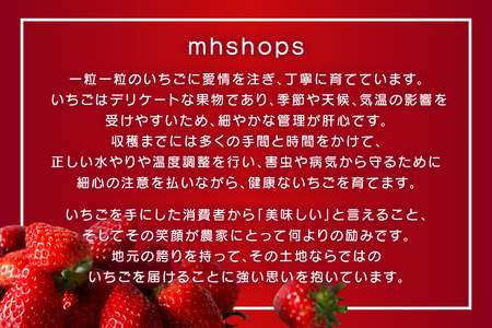 いちご 冷凍 あまおう 約2kg [mhshops 福岡県 筑紫野市 21761026]