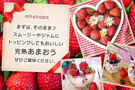 【期間限定発送】 いちご 3回 定期便 福岡県産 完熟 博多 あまおう 270g 2p 総計6p [mhshops 福岡県 筑紫野市 21761226]