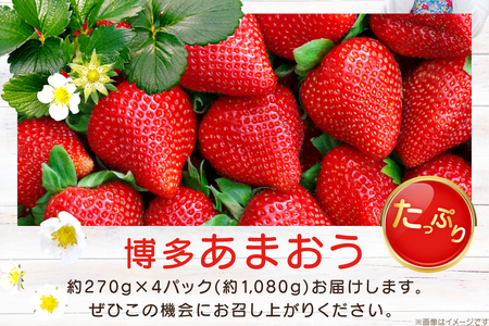 【期間限定発送】 いちご 完熟 あまおう 約270g 4p [mhshops 福岡県 筑紫野市 21761028]