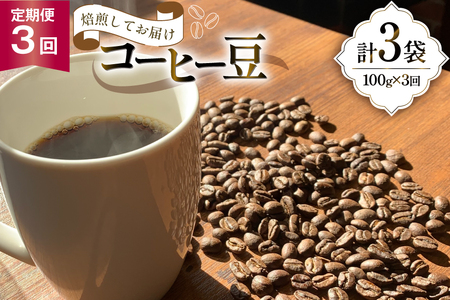 コーヒー豆 3ヶ月 定期便 100g×3 [いち日のはじまり 福岡県 筑紫野市 21761225]