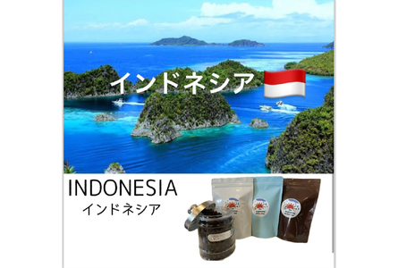 コーヒー豆 3ヶ月 定期便 100g×3 [いち日のはじまり 福岡県 筑紫野市 21761225]