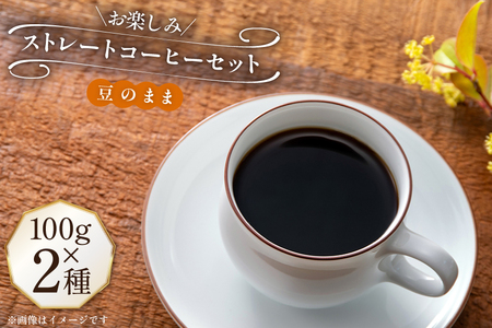 コーヒー豆 100g 2種 (豆のまま) 飲み比べセット [自家焙煎珈琲ぴちかーと 福岡県 筑紫野市 21761244]