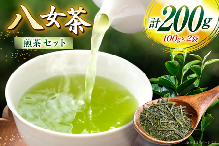 お茶 八女茶 煎茶 セット 100g 2袋 [木村食品 福岡県 筑紫野市 21761043]