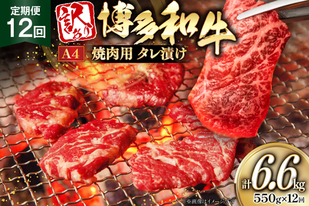 訳あり 牛肉 博多和牛 A4 ランク 焼肉用 タレ漬け 550g 12回 定期便 [木村食品 福岡県 筑紫野市 21761187]