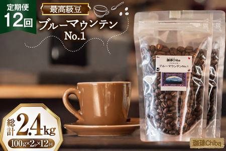 【12回定期便】 コーヒー豆 ブルーマウンテン 100g 2パック [珈琲Chiba 福岡県 筑紫野市 21761423]