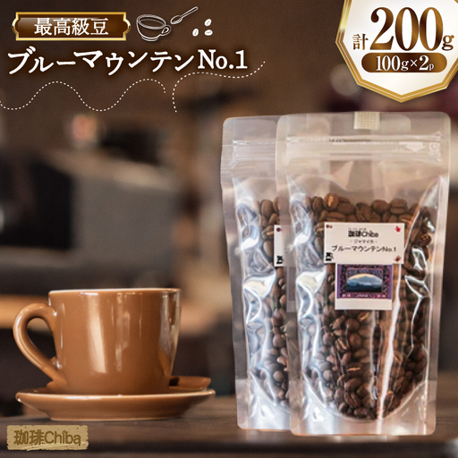 コーヒー豆 ブルーマウンテン 100g 2パック 計 200g [珈琲Chiba 福岡県 筑紫野市 21761419]