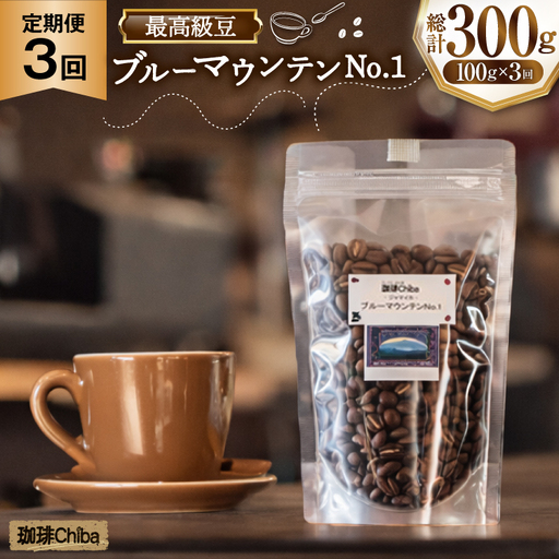 【3回定期便】 コーヒー豆 ブルーマウンテン 100g [珈琲Chiba 福岡県 筑紫野市 21761428]