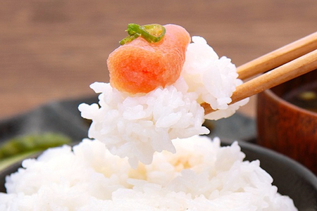 明太子 楢崎商店 青唐辛子明太子 500g [地域商社ふるさぽ 福岡県 筑紫野市 21761450]