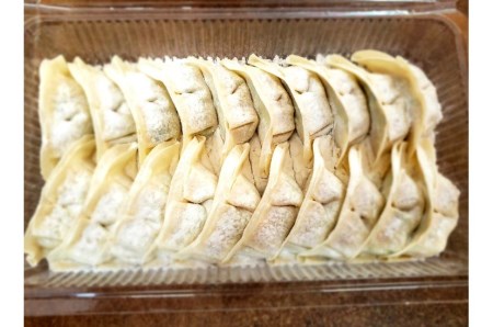 元祖　鶏生姜餃子（冷凍）20個×4パック