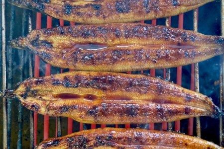 創業100年の味 鰻の蒲焼 2尾 秘伝のタレと山椒付き [川魚料理 鯉ひろまつ 福岡県 筑紫野市 21760024]