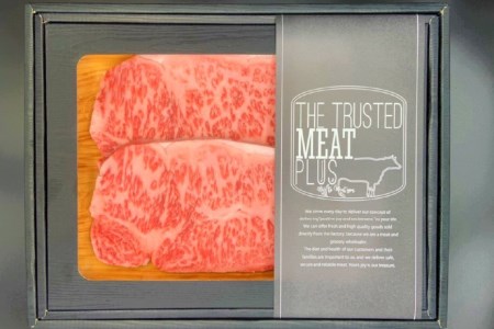 博多和牛 A4以上 サーロインステーキ 250g×2枚 [MEAT PLUS 福岡県 筑紫野市 21761002]