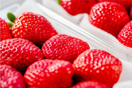 【期間限定発送】 いちご 春の苺 あまおう 6パック [南国フルーツ 福岡県 筑紫野市 21760095]