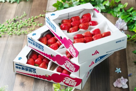 【期間限定発送】 いちご 春の苺 あまおう 6パック [南国フルーツ 福岡県 筑紫野市 21760095]