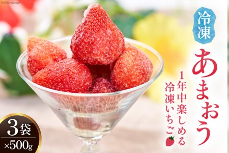 福岡の苺 あまおうをキンキンに冷やした 冷凍 あまおう 500g×3袋 [南国