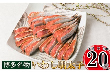 いわし 明太子 20尾(5尾 4pc) 真いわし 辛子 明太子 化粧箱入 [博多漁師の里 福岡県 筑紫野市 21760129]