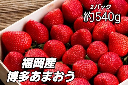 先行受付 博多あまおう 約270g×2 / エイチアンドフューチャーズ / 福岡県 筑紫野市 [21760413] 果物 フルーツ いちご イチゴ 苺 朝採り 新鮮