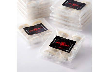 博多鉄なべ餃子 10個×12 計120個 / うまか堂本舗 / 福岡県 筑紫野市 [21760422]