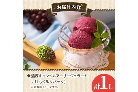 フルーツソムリエが作った濃厚キャンベルアーリージェラート(1L) ぶどう 葡萄 アイス アイスクリーム 手作り スイーツ お土産 ＜離島配送不可＞【ksg0051】【南国フルーツ】