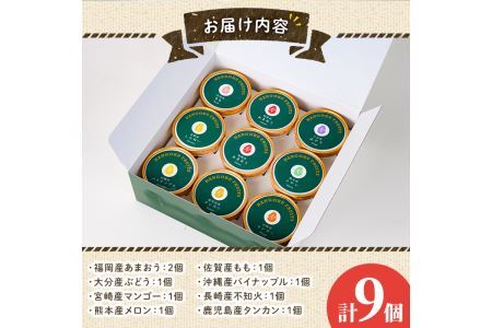 九州ジェラートセット(9個入) アイス アイスクリーム 苺 いちご イチゴ あまおう ぶどう マンゴー メロン もも モモ 桃 パイナップル パイン 不知火 しらぬい タンカン たんかん フルーツ 国産 スイーツ<離島配送不可>【ksg1284】【南国フルーツ】