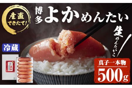 ＜無冷凍＞辛子明太子 博多よかめんたい 生 1本もの(500g) 贈答用 めんたいこ 真子 冷蔵 海鮮 お土産 ＜離島配送不可＞【ksg0407】【富八商店】