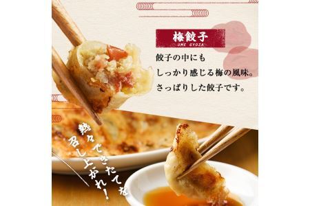 博多骨折り餃子と梅餃子(合計100個・餃子50個＋梅餃子50個)冷凍 一口 ひとくち ぎょうざ ギョウザ 手作り 国産 焼くだけ 簡単 タレ付き うめ 梅干し うめぼし【ksg0540-A】【骨折り餃子貴月】
