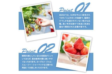 ＜先行予約受付中！2026年4月より順次発送＞冷凍あまおう苺(約500g×2袋・計1kg)いちご イチゴ 冷凍 シャーベット 冷凍いちご ヨーグルト ジャム ＜離島配送不可＞【ksg0046】【南国フルーツ】