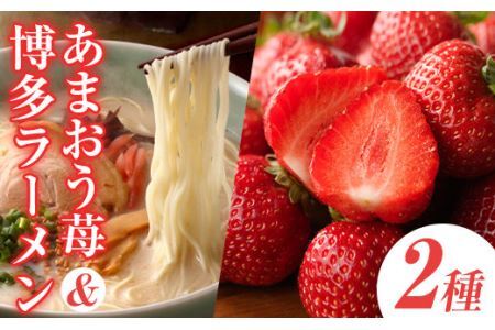 ＜先行予約受付中！2025年11月下旬～2026年3月末に順次発送予定＞あまおう・博多豚骨ラーメンセット(あまおう1P＋豚骨ラーメン1箱)豚骨ラーメン とんこつラーメン いちご 苺 フルーツ 果物 くだもの 豚骨＜離島配送不可＞【ksg0068】【南国フルーツ】