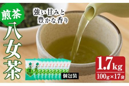 八女茶(計1.7kg・100g×17袋) お茶 緑茶 煎茶 茶葉 お茶 常温 常温保存【ksg0017】【お茶の星陽園】