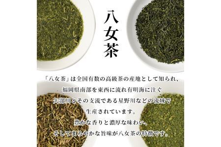 ＜定期便・全6回(連続)＞八女茶セット(総量3.6kg・約600g×6回)緑茶 煎茶 茶葉 小分け 常温 常温保存【ksg0634】【お茶の星陽園】