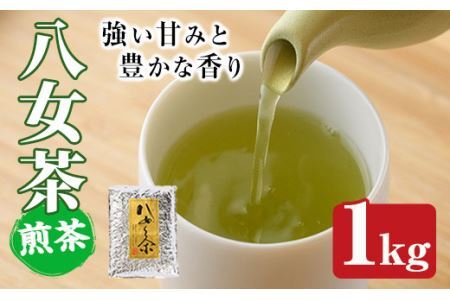 八女茶(計1kg) お茶 緑茶 煎茶 茶葉 常温 常温保存【ksg0019】【お茶の星陽園】