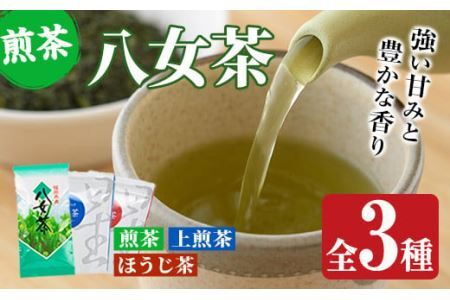 福岡県産八女煎茶とティーバッグ(上煎茶・ほうじ茶)詰め合わせ(計605g) お茶 緑茶 八女茶 小分け 常温 常温保存【ksg0215】【お茶の星陽園】