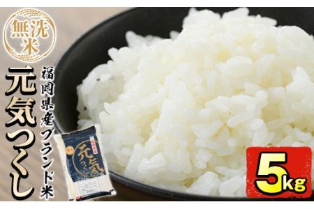 ＜令和7年産＞福岡県産ブランド米「元気つくし」無洗米(5kg)お米 5キロ ごはん ご飯【ksg0377】【朝ごはん本舗】