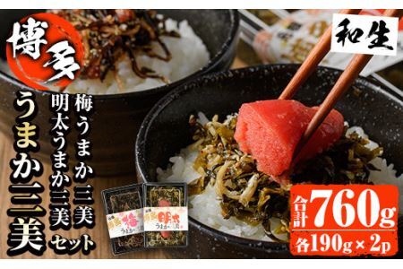 博多うまか三美つくだ煮セット(計760g)辛子高菜 明太高菜 佃煮 つくだ煮 きくらげ ご飯 おにぎり おつまみ 惣菜＜離島配送不可＞【ksg0534】【和生】