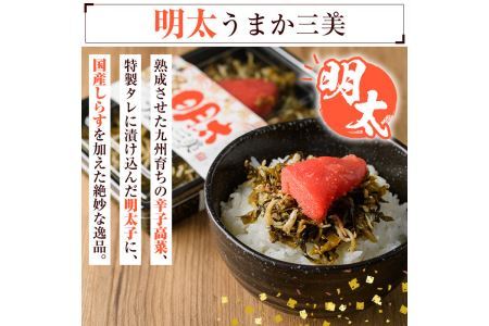 博多うまか三美つくだ煮セット(計760g)辛子高菜 明太高菜 佃煮 つくだ煮 きくらげ ご飯 おにぎり おつまみ 惣菜＜離島配送不可＞【ksg0534】【和生】