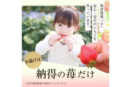 ＜予約受付中！2026年2月より順次発送予定＞うるう農園のスタンダードあまおう(計570g・285g×2P)  苺 いちご イチゴ 果物 フルーツ 国産 福岡県 ヨーグルト ジャム スムージー 冷蔵 特別栽培＜離島配送不可＞【ksg1218】【うるう農園】