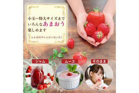 ＜予約受付中！2026年2月より順次発送予定＞＜不揃い＞あまおう(計1.14kg・285g×4P) 苺 いちご イチゴ フルーツ 果物 ヨーグルト ジャム スムージー 冷蔵 特別栽培 福岡県 国産＜離島配送不可＞【ksg1222】【うるう農園】